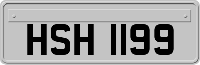 HSH1199