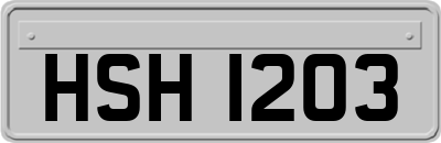 HSH1203