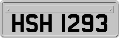 HSH1293