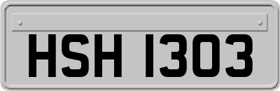 HSH1303