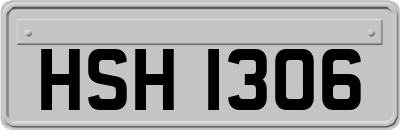HSH1306