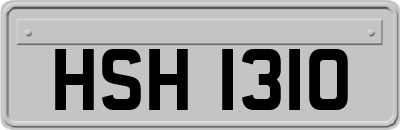 HSH1310