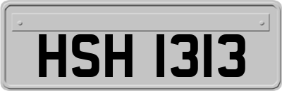 HSH1313