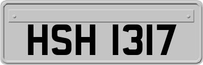 HSH1317