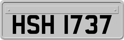 HSH1737