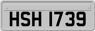 HSH1739