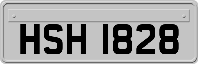 HSH1828