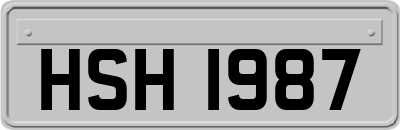 HSH1987