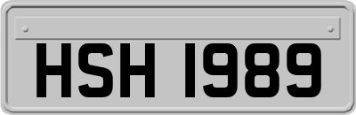 HSH1989