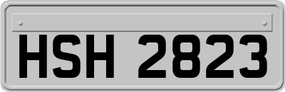 HSH2823