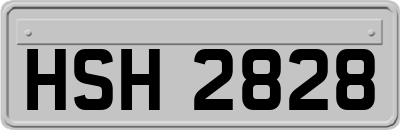 HSH2828