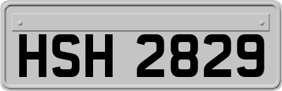 HSH2829