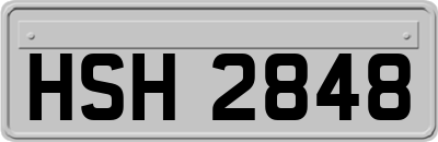 HSH2848
