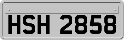 HSH2858