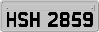 HSH2859
