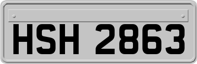 HSH2863