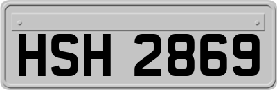 HSH2869