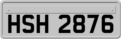 HSH2876