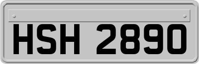 HSH2890