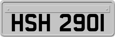 HSH2901