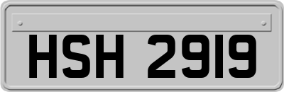 HSH2919
