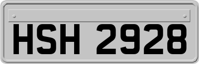 HSH2928