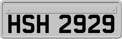 HSH2929