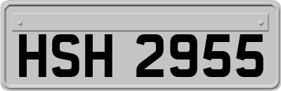 HSH2955