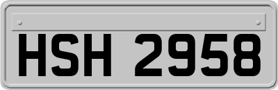 HSH2958