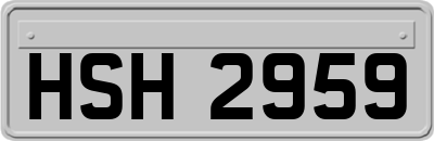 HSH2959