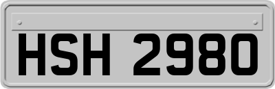 HSH2980