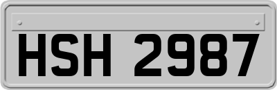 HSH2987