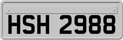 HSH2988