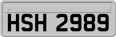HSH2989