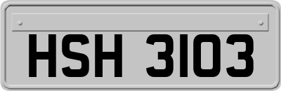 HSH3103