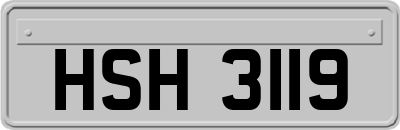 HSH3119