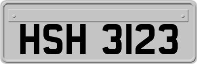 HSH3123