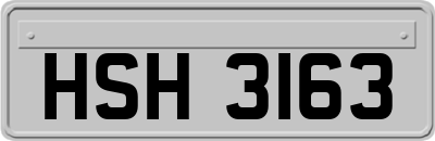 HSH3163
