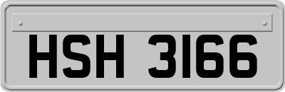 HSH3166