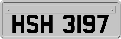 HSH3197