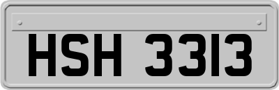 HSH3313