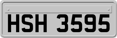 HSH3595