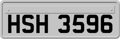 HSH3596