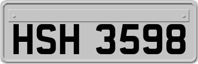 HSH3598