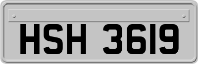 HSH3619