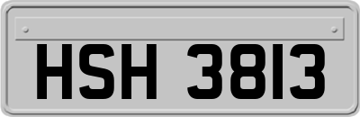 HSH3813