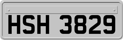 HSH3829