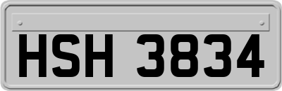 HSH3834