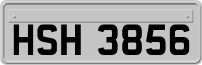 HSH3856