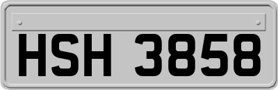 HSH3858
